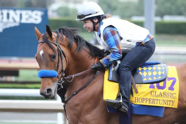 Belmont Park July 7 – Race 9 Analysis, Picks & Best Bets