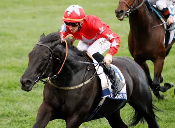 Keeneland Shadwell Turf Mile Betting: Analysis and Picks