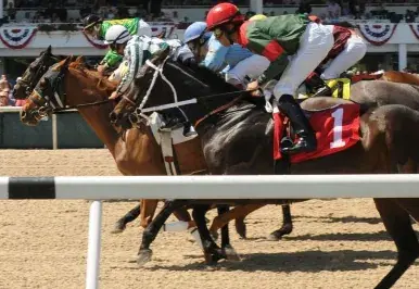 2019 Tampa Bay Derby Picks and Analysis