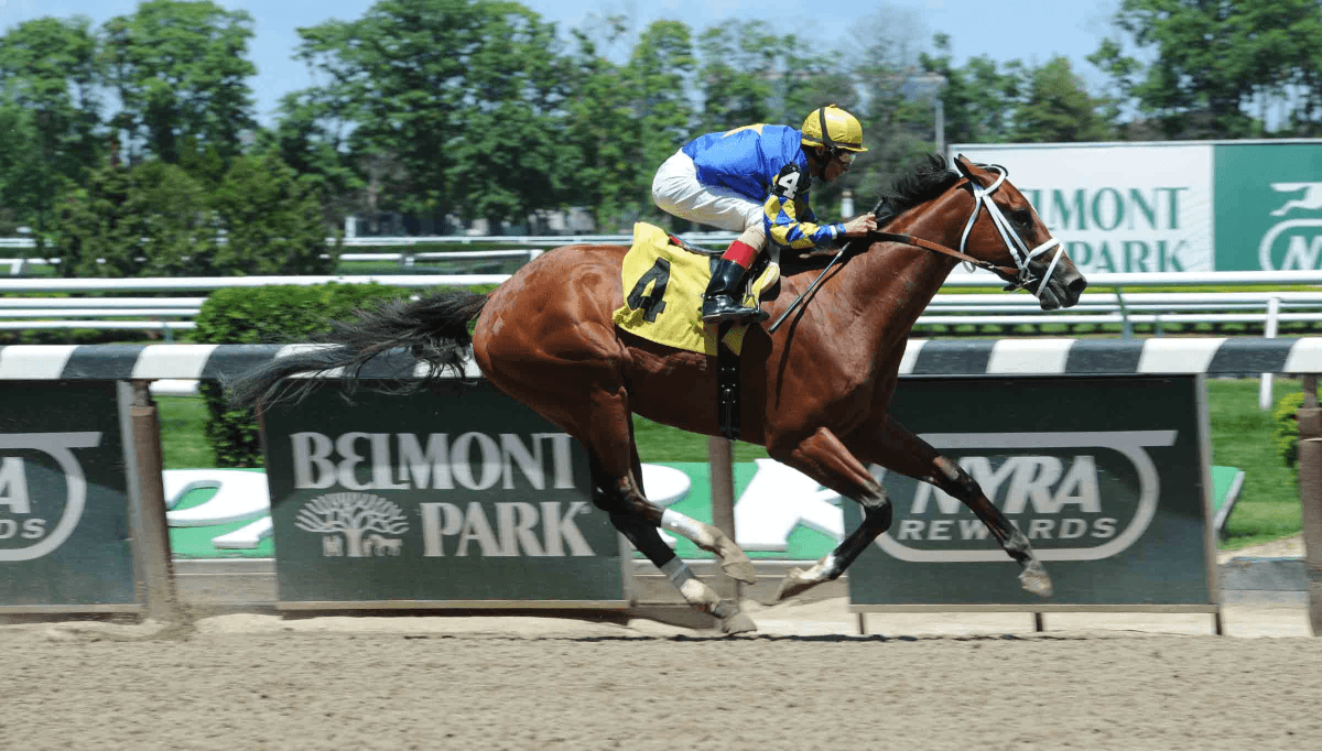 Belmont Park July 15 – Race 7 Analysis, Picks & Best Bets