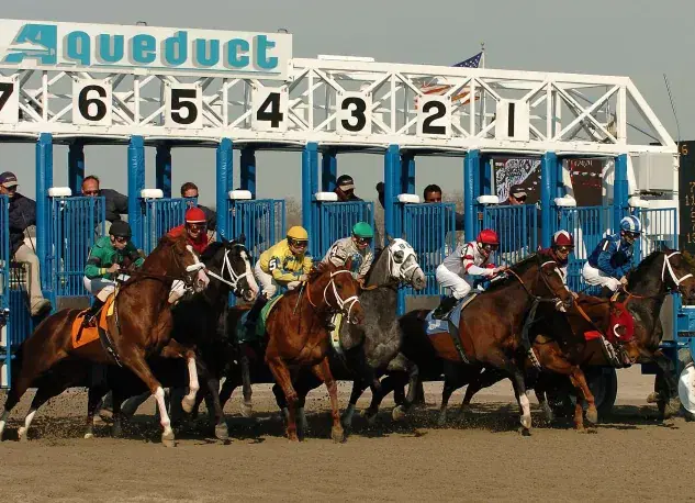 Aqueduct Picks- January 27, 2024: Jimmy Winkfield