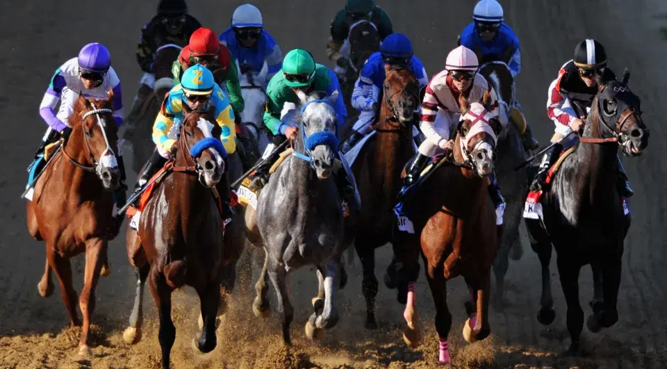 Belmont Park July 11 – Race 1 Analysis, Picks & Best Bets