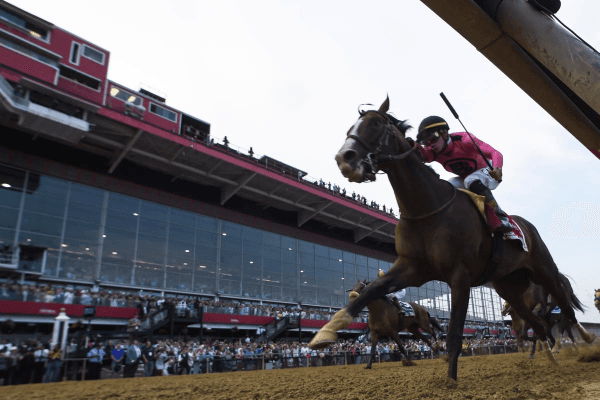 Picking Ponies: Picking Winners at the Belmont