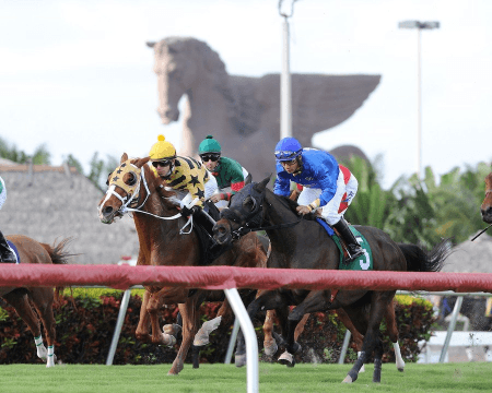 Horse Racing at Gulfstream Park today: Picks and analysis