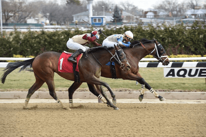 Aqueduct Horse Racing on TV: picks and Analysis for February 23rd 2019