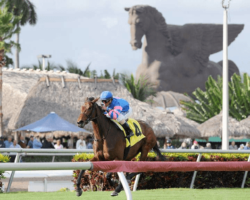 Picks for the 2018 Pegasus World Cup at Gulfstream Park