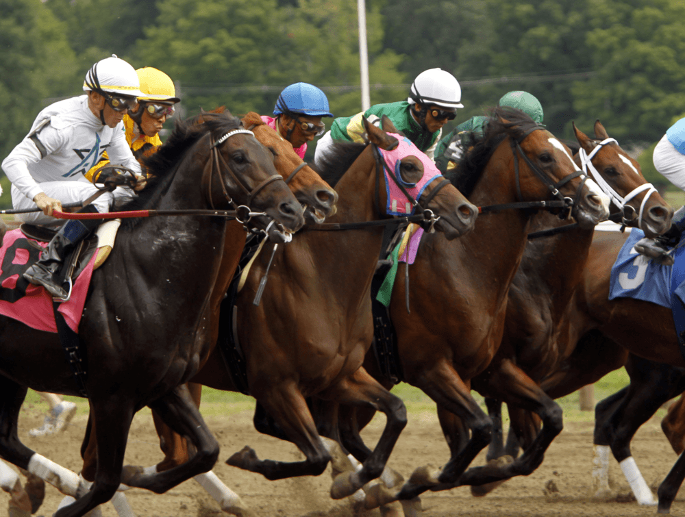 Saratoga Racing August 25 – Travers Analysis, Picks & Best Bets
