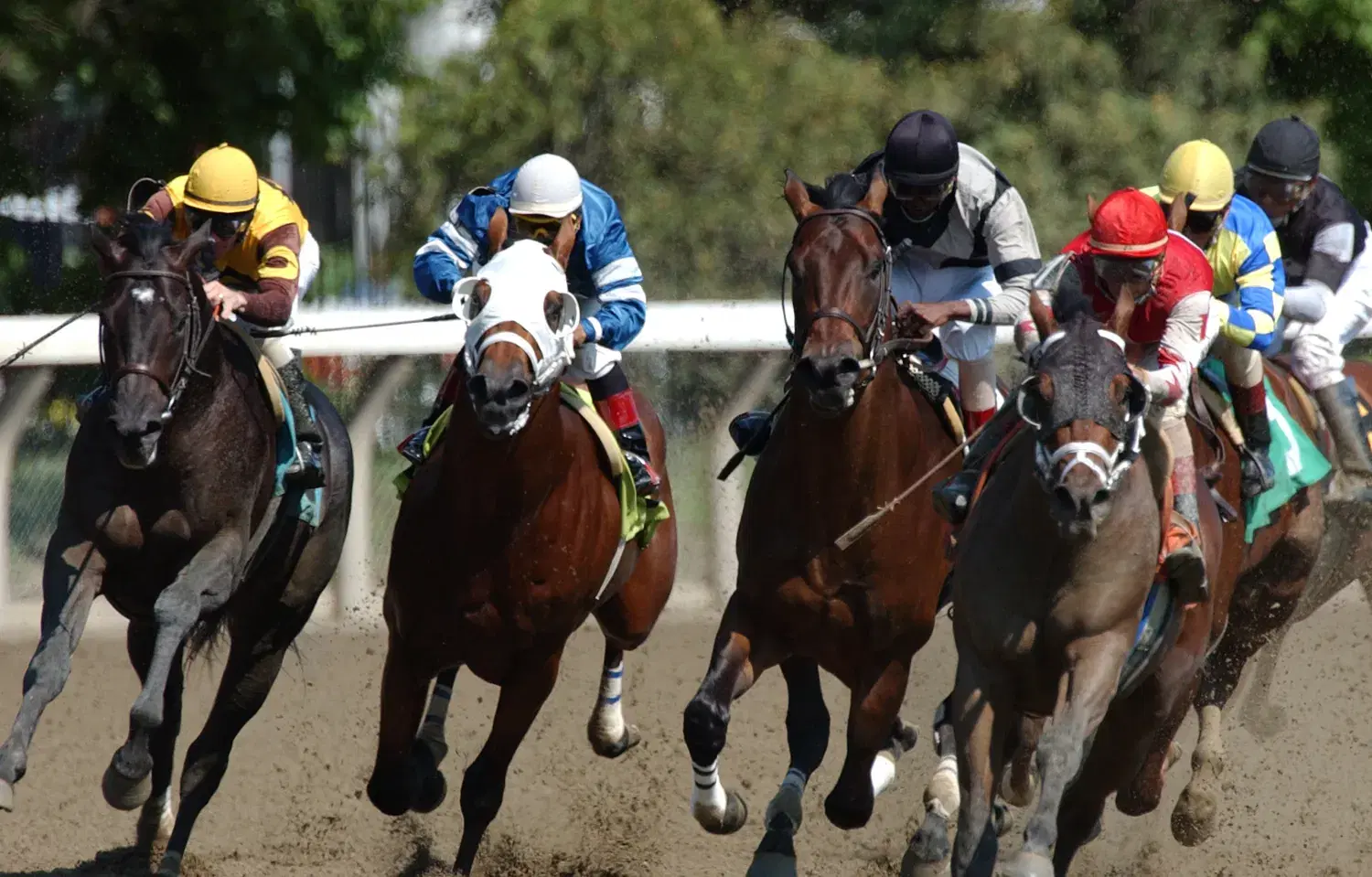 Saratoga Racing August 18 – Race 9 Analysis, Picks & Best Bets
