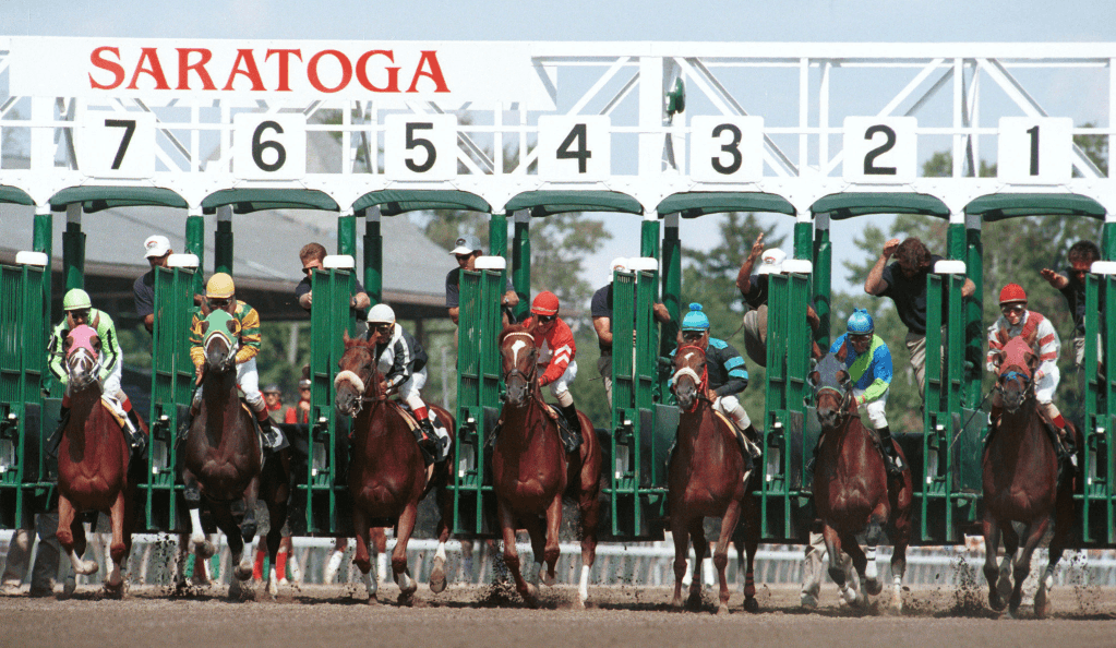 Saratoga Picks- 2024 Adirondack Stakes