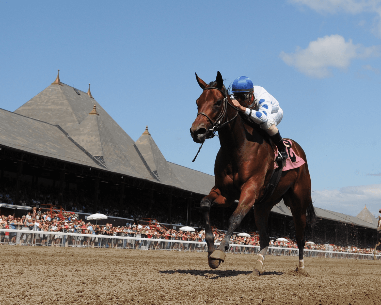 Saratoga Racing August 19 – Race 4 Analysis, Picks & Best Bets