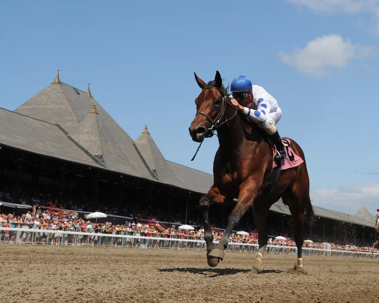 Saratoga Racing August 19 – Race 4 Analysis, Picks & Best Bets