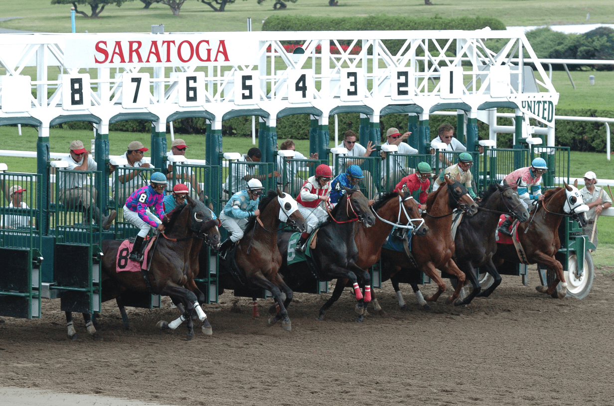 Saratoga Racing August 1 – Race 8 Analysis, Picks & Best Bets