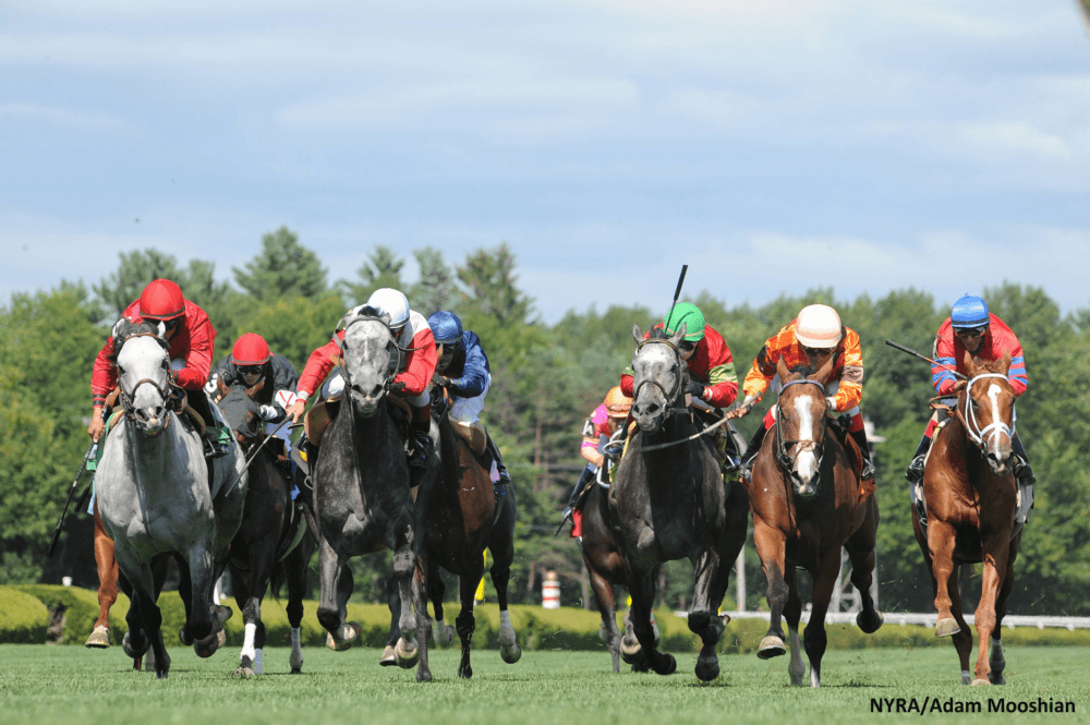 Saratoga Racing August 9 – Race 8 Analysis, Picks & Best Bets