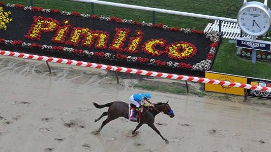 Preakness 2021 Betting Guide & Picks: Strategies for All Budgets