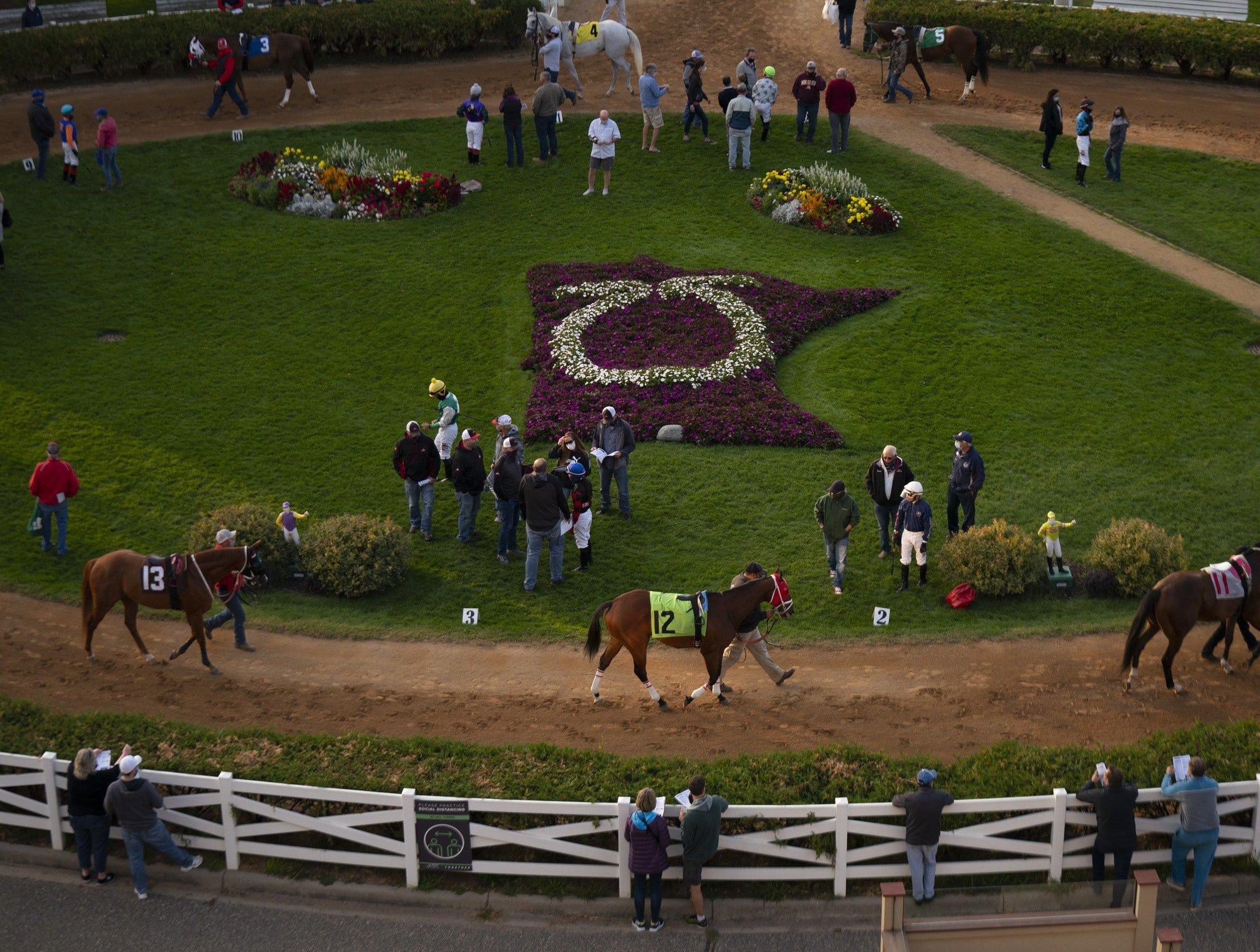 Canterbury Park Wednesday: Mystic Lake Derby Analysis and Selections