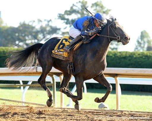 Churchill Downs: Selections and Analysis for Closing Day