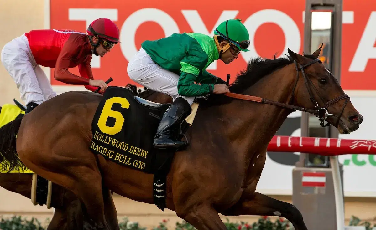 Belmont Park Sunday Selections: Picking Winners on Poker Stakes Day