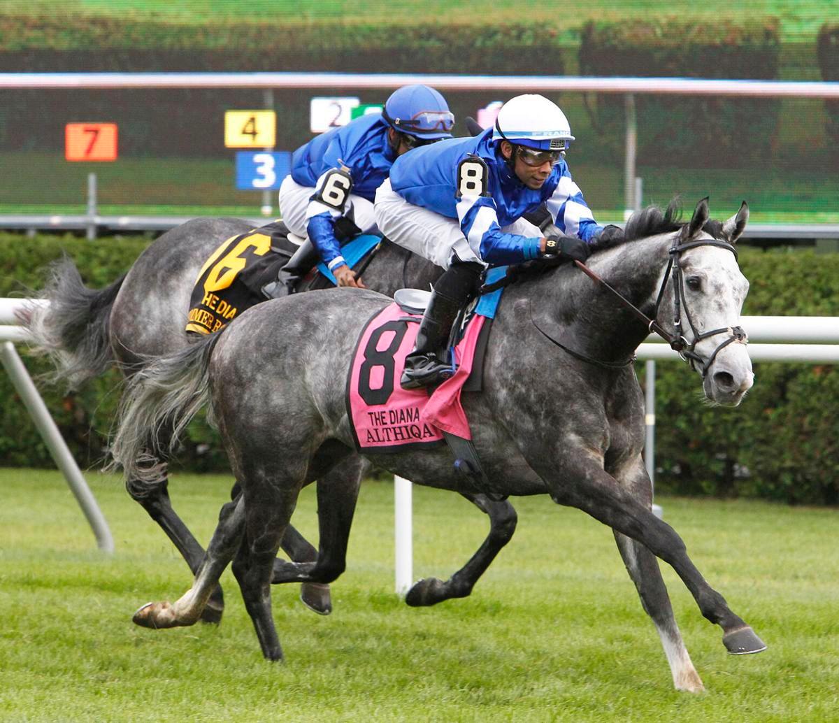Althiqa and Summer Romance placed 1-2 in the Diana last weekend at Saratoga.
