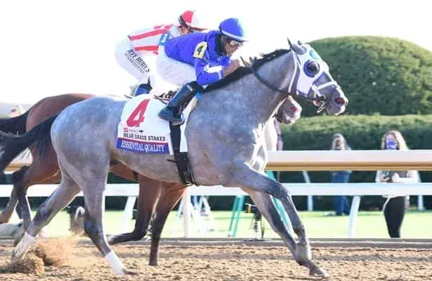 Saratoga Saturday Analysis: Essential Quality Returns