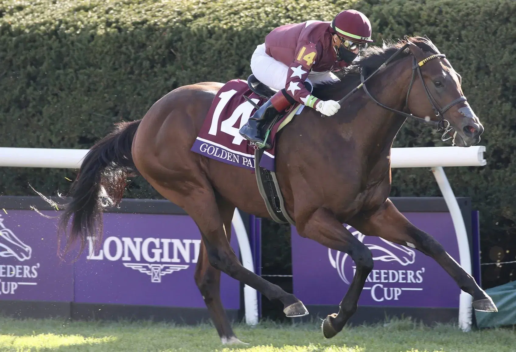 Saratoga is Back: Opening Day Picks and Meet Preview