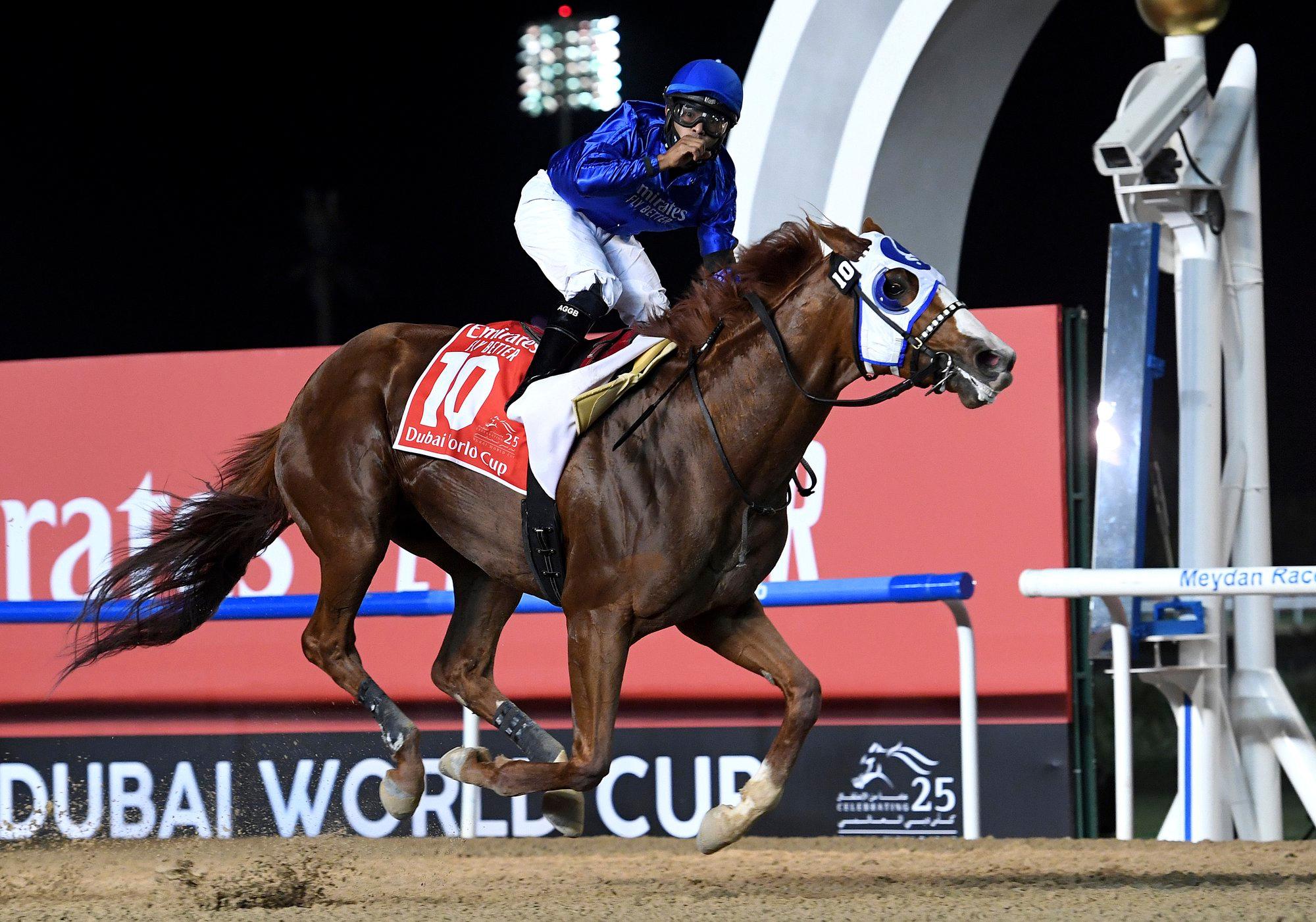 Belmont Saturday: Expert Picks for the Suburban Handicap