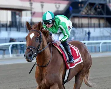 Saratoga Stakes Preview: Wednesday Analysis & Selections