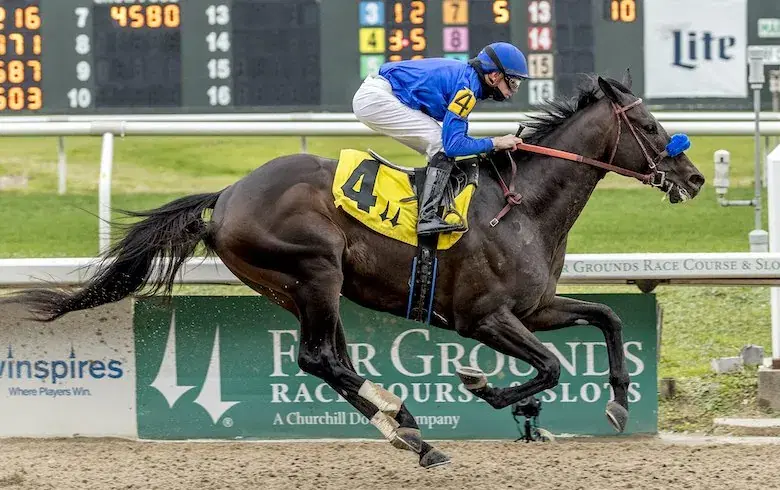 Churchill Downs Picks: Maxfield Stakes (6/29/20205)