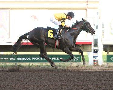 Star of the North is favored in the Minnesota Oaks from Canterbury Park