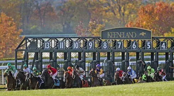 Keeneland 10/20: Wednesday Card Analysis and Selections