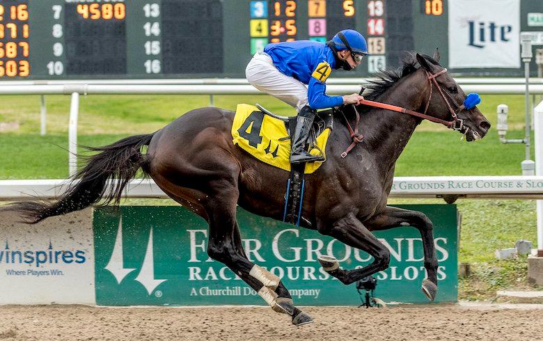 Maxfield will head to Churchill Downs for the Clark Handicap on Black Friday.