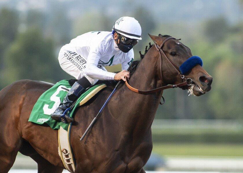 Life is good wins the 2021 Sham Stakes. The horse prepped at Santa Anita and was the favorite for the Kentucky Derby until he got injured.