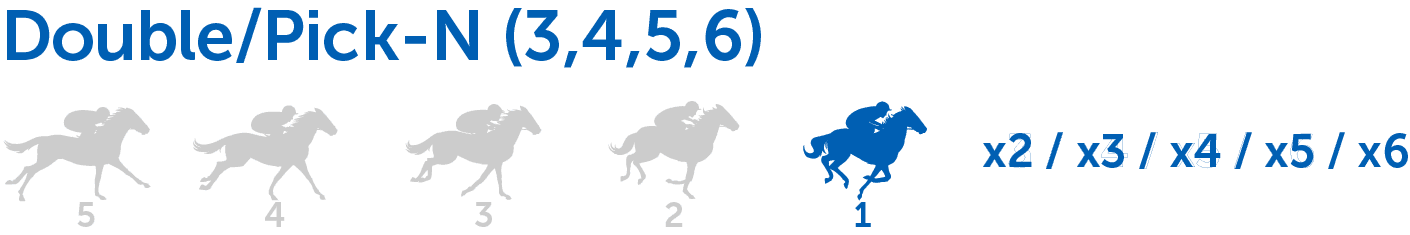Horizontal bets require a player to pick the winner of consecutive races and can lead to some of the biggest payoffs in racing.