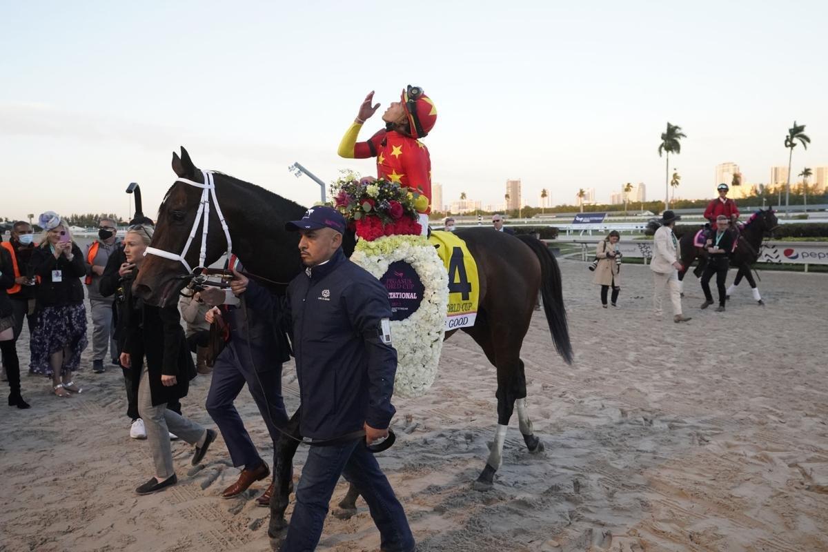 Life is Good adorned in flowers after a jaw dropping performance in the Pegasus World Cup.