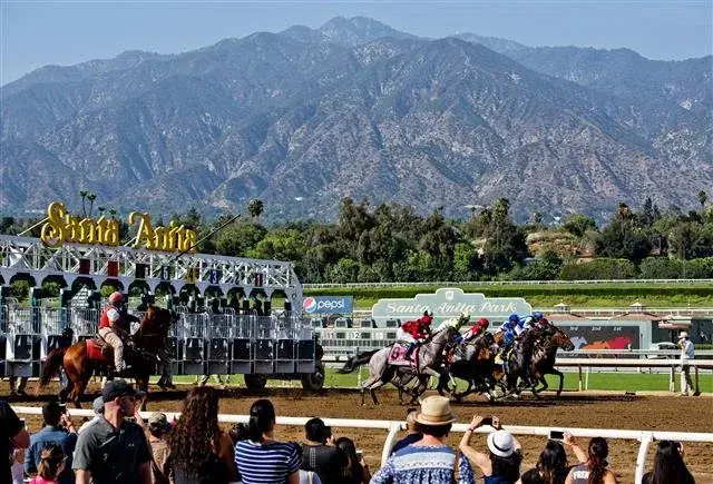 The San Marcos will take place at Santa Anita on Sunday