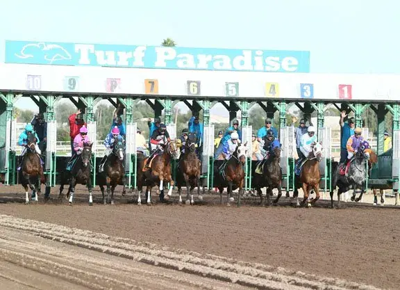 Turf Paradise Friday: Cluer Memorial & Queen of the Green Stakes