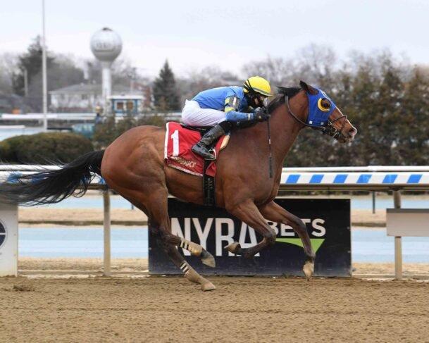 Aqueduct Winter Meet Closes With All Stakes Card