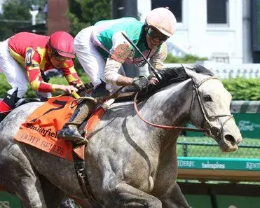 Gulfstream Park Saturday: Hurricane Bertie Stakes Analysis