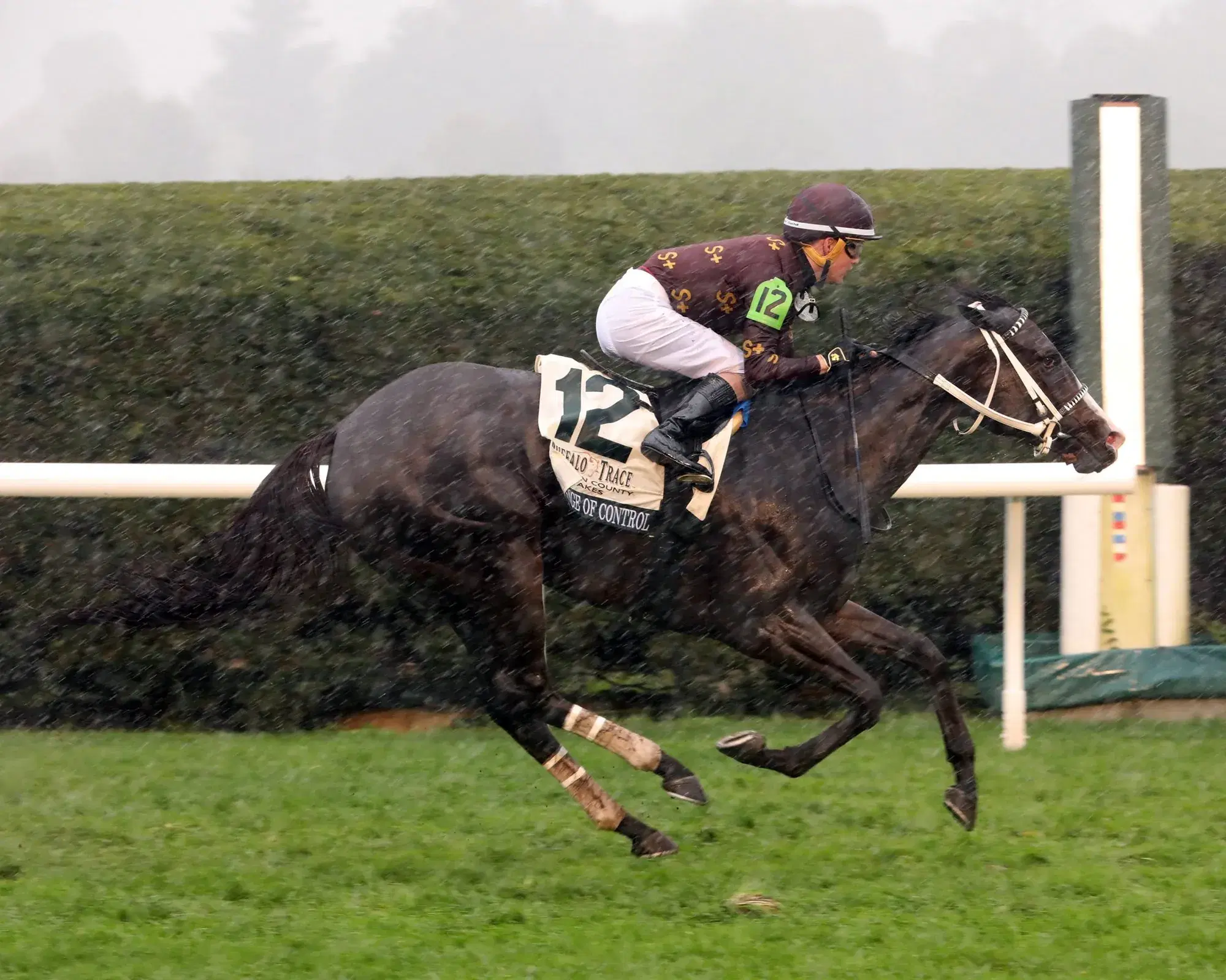 Fair Grounds Tuesday: Mardi Gras Stakes Analysis, Selections