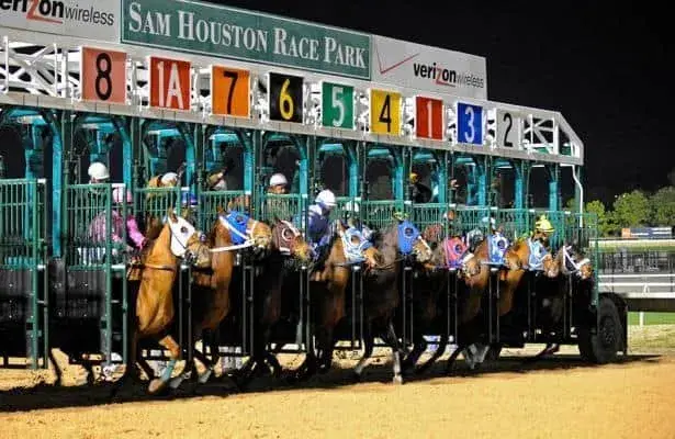 Sam Houston Thursday: Texas Thoroughbreds Under the Lights
