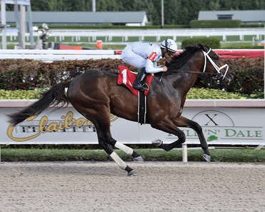 Gulfstream Park Saturday: Fountain of Youth Highlights Massive Card