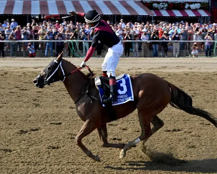 Oaklawn Park: Whitmore, Essex Stakes Saturday Analysis