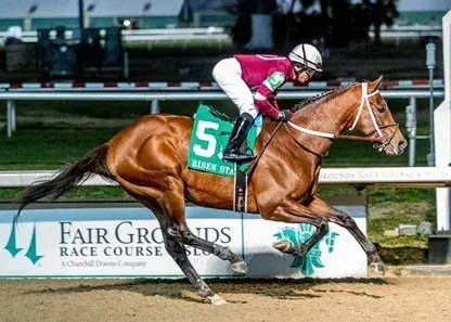 Quick Notes: Kentucky Derby 2022 Contender Cheat Sheet