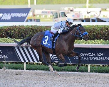 Gulfstream Park: Florida Derby Caps Marathon 14 Race Card