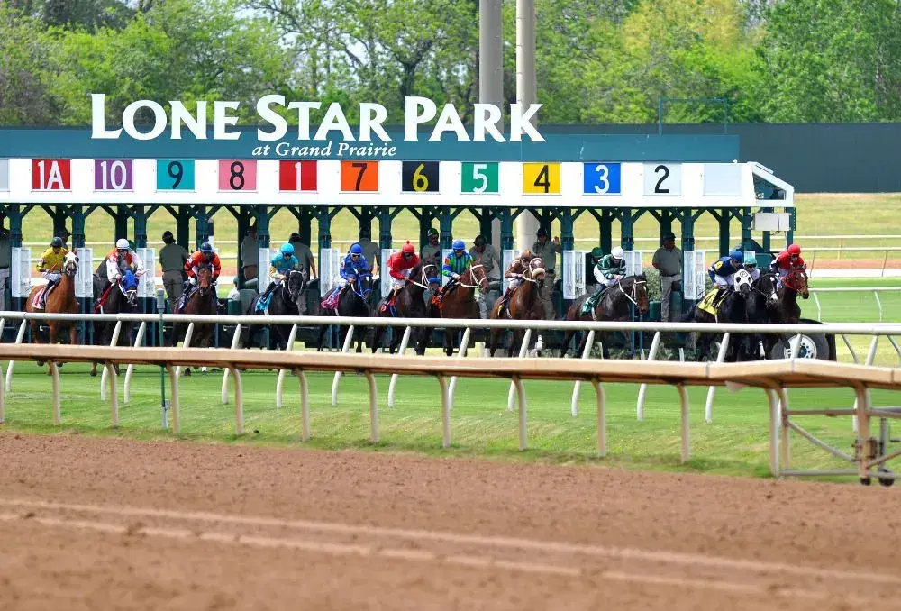 Lone Star Park runs the Bluebonnet on Thursday