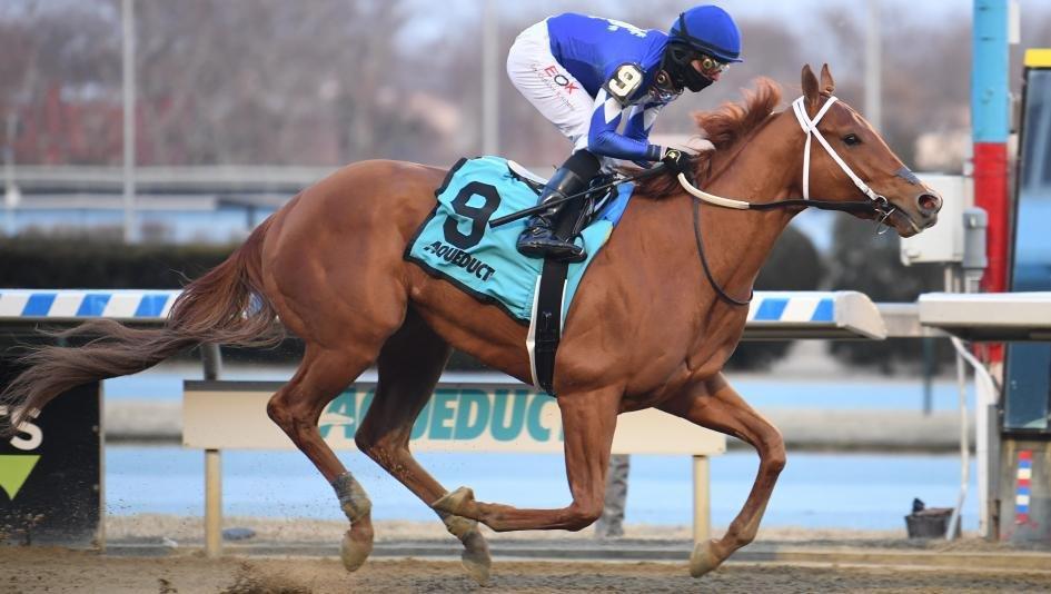 Aqueduct Wood Memorial Offers Kentucky Derby Berth