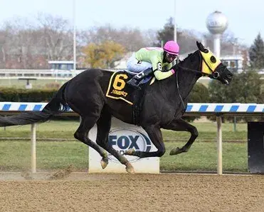 Belmont Park Hosts Stakes Quintent on Saturday’s Card