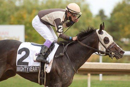 Woodbine Friday (7/1): Dominion Day Stakes Analysis, Selections