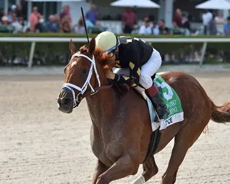 Gulfstream Park Saturday (7/2): Princess Rooney Stakes Analysis cover