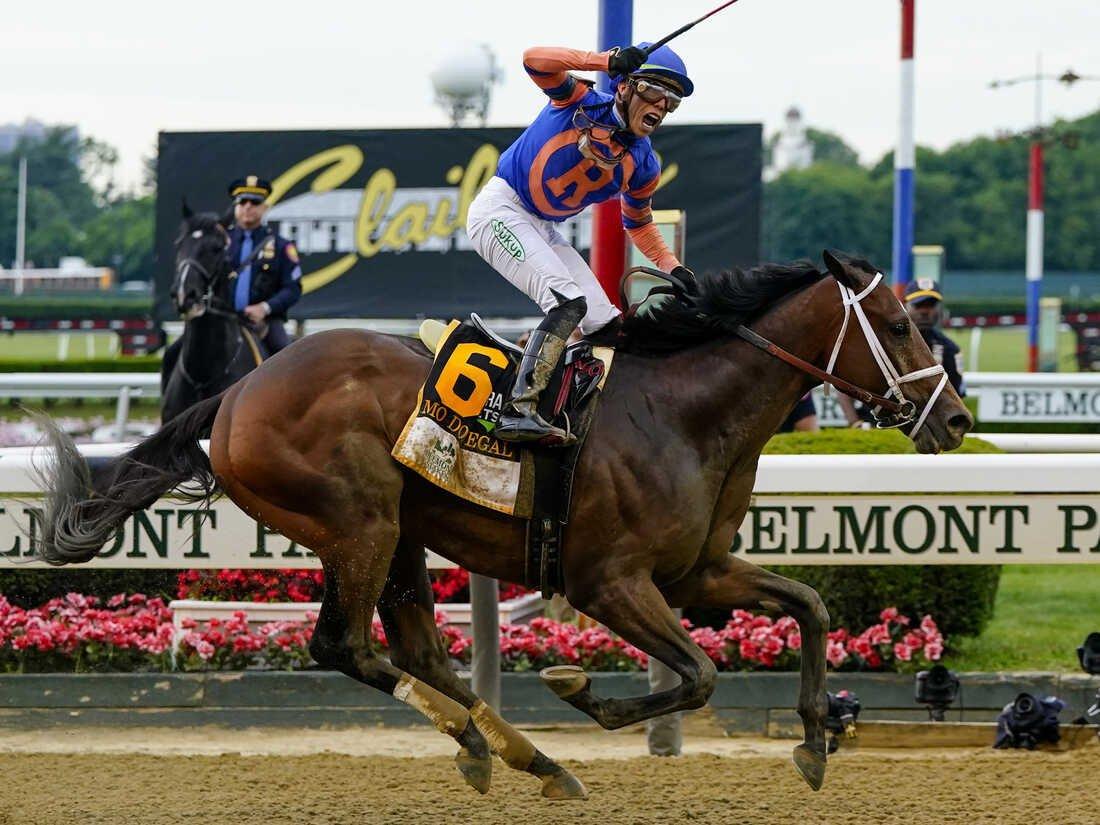 Belmont Stakes Recap: Stars Take Flight in New York