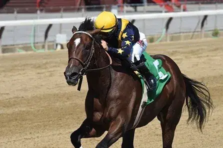 Churchill Downs (7/4): July 4th Card Analysis, Selections cover